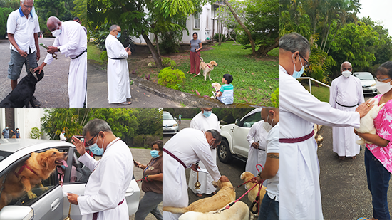 Blessing of Pets